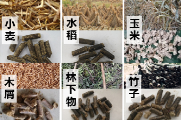 巅峰国际官网-相信品牌力量