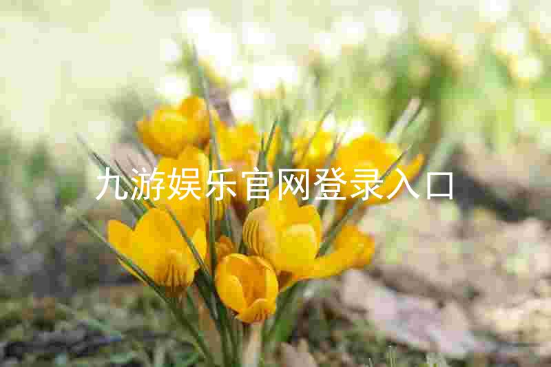 九游娱乐官网登录入口